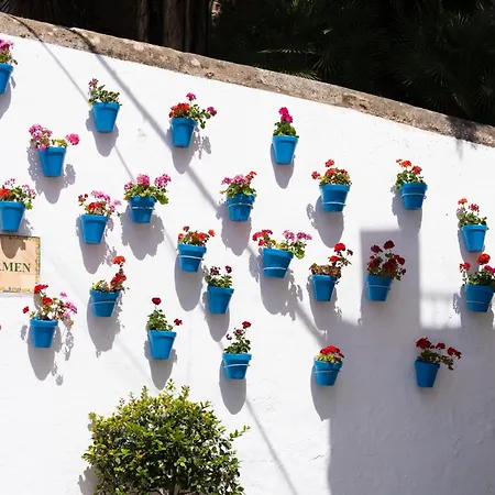 Apartmán El Dorado 3 Cerca Puerto Banus *